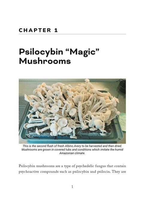 The Future of Magic Mushrooms in Canada: Industry Growth and Legalization
